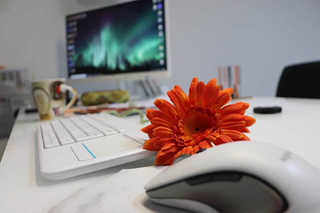 office